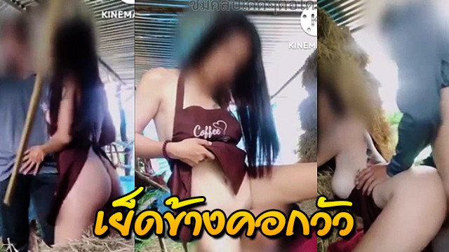 Onlyfans น้องกระต่าย โคตรน่าเย็ดนั่งควบจนขาสั่นแล้วโดนซ้อนท่าหมาต่อสรุปแตกรดหีเต็มสะใจ